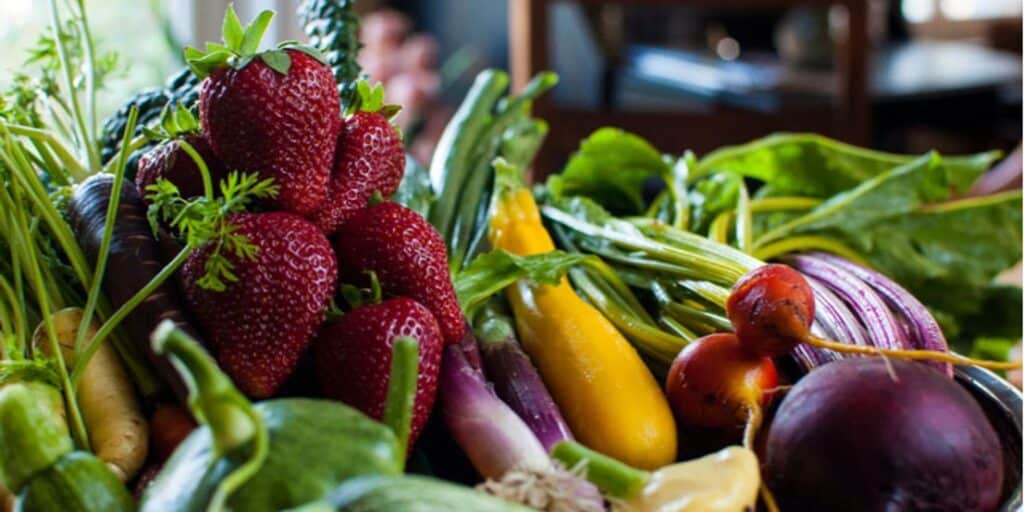 Nutrition and Eye Health